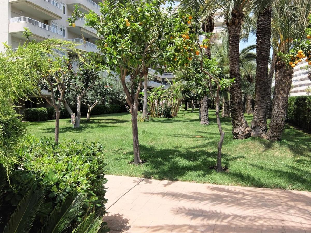 Apartmán Parque Mota - Alquiler Solo A Familias Playa de Gandia Exteriér fotografie